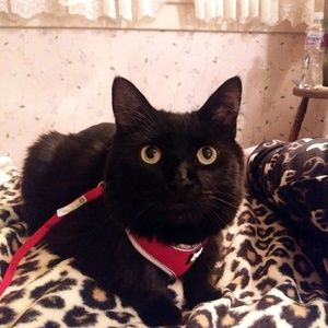 Meet your Posher, Jenessa